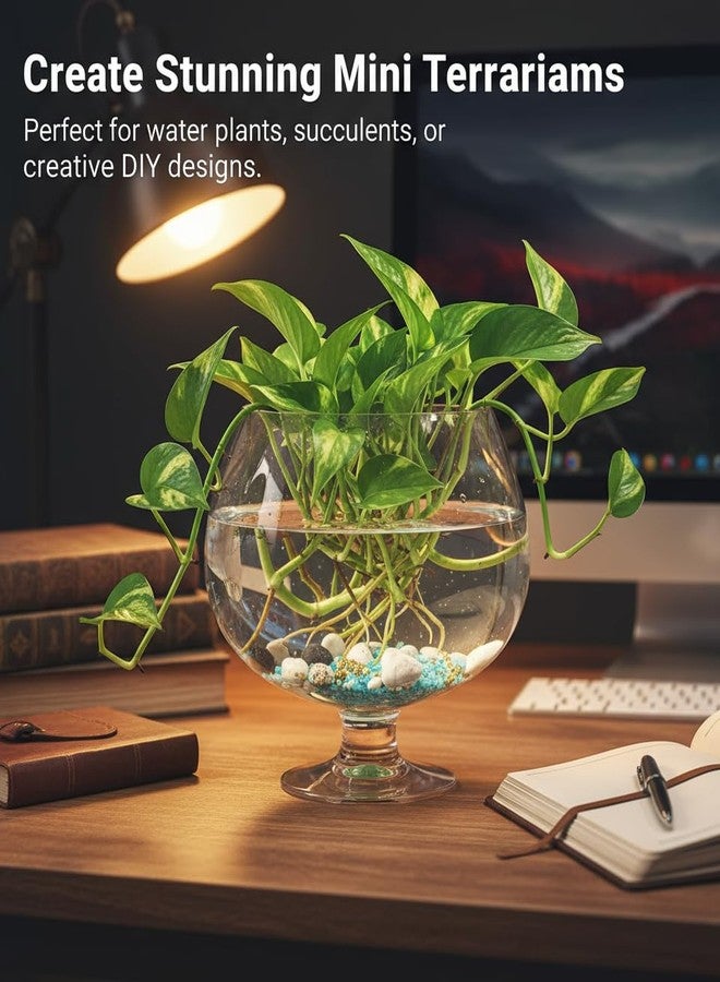 SUPVOX Glass Fish Bowl 6.7 Inch Round Goldfish Tank - Clear Glass Aquarium for Desktop Hydroponic Plants and Home Office Decor - Image 3